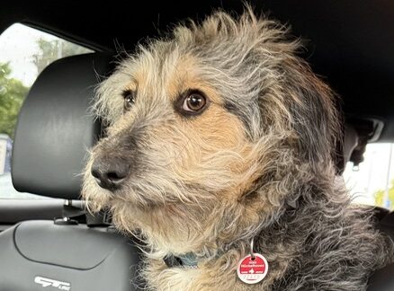 Jo's private Homepage